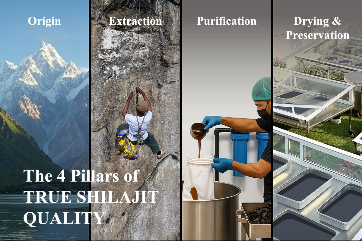 Why Our Shilajit