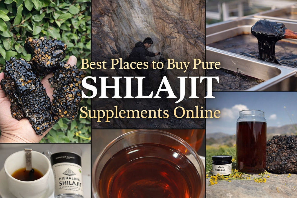 Best Places to Buy Pure Shilajit Supplements Online (Complete 2026 Guide)