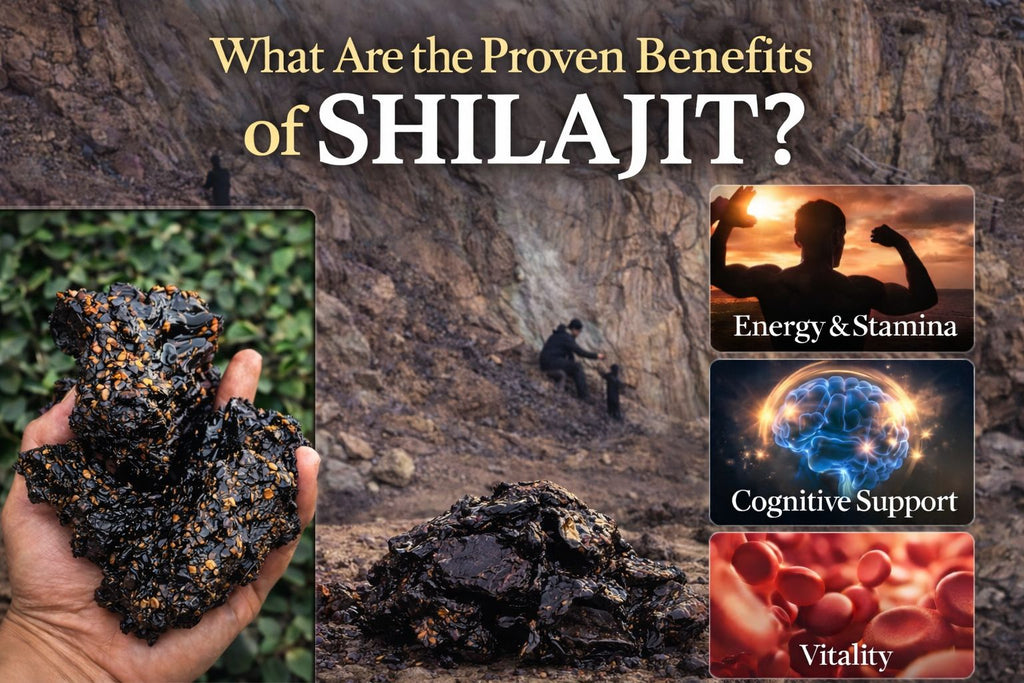 What Are the Proven Benefits of Shilajit? (Science-Based Safety Guide 2026)