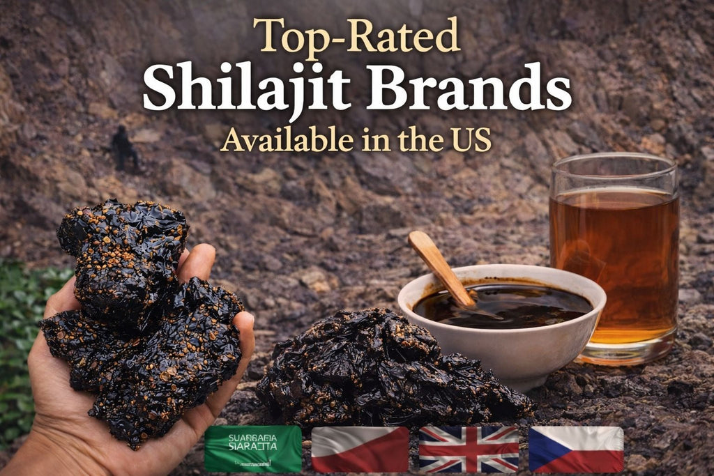 Top-Rated Shilajit Brands Available in the US (2026 Guide)