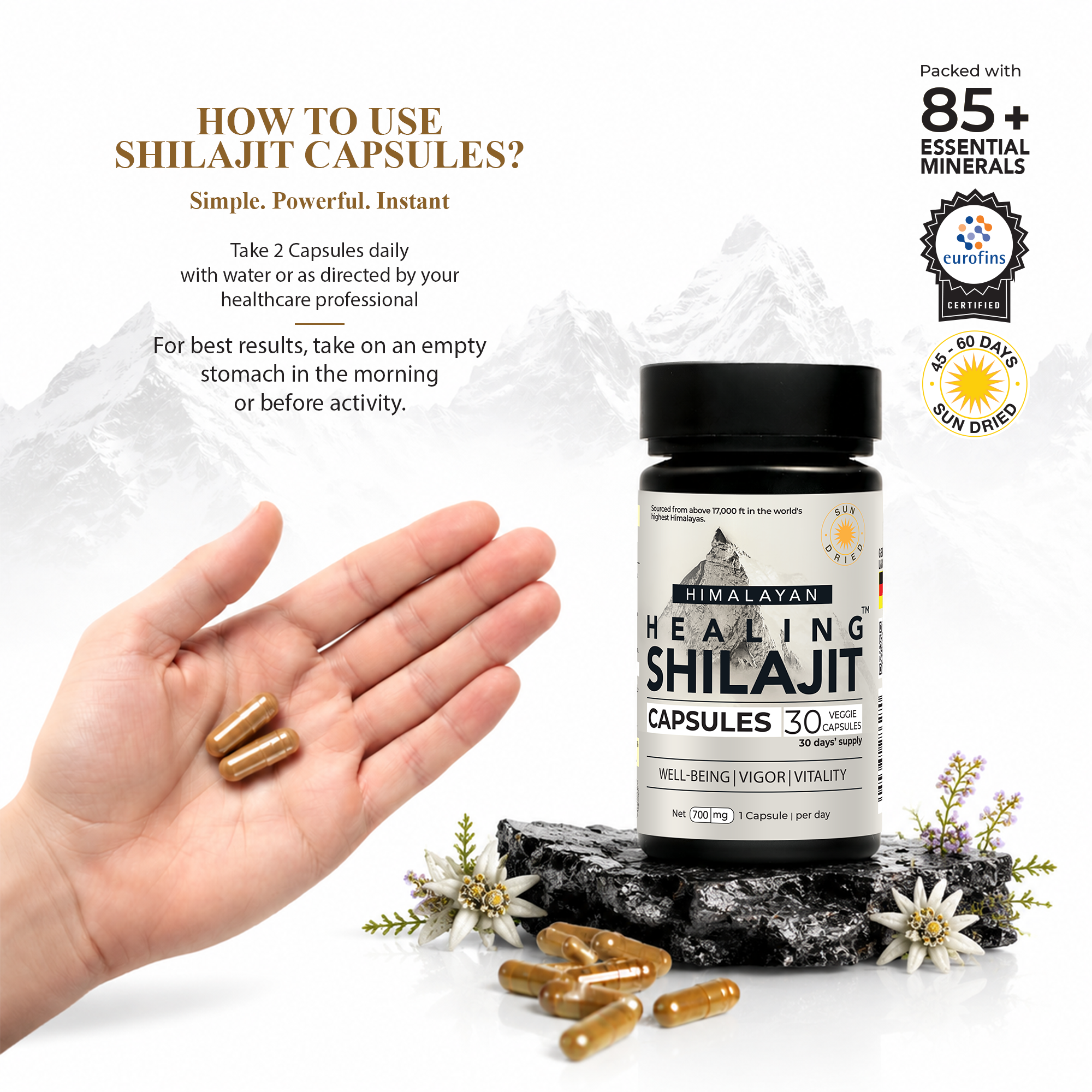 Healing Shilajit™ Freeze-Dried Shilajit Capsules 700mg