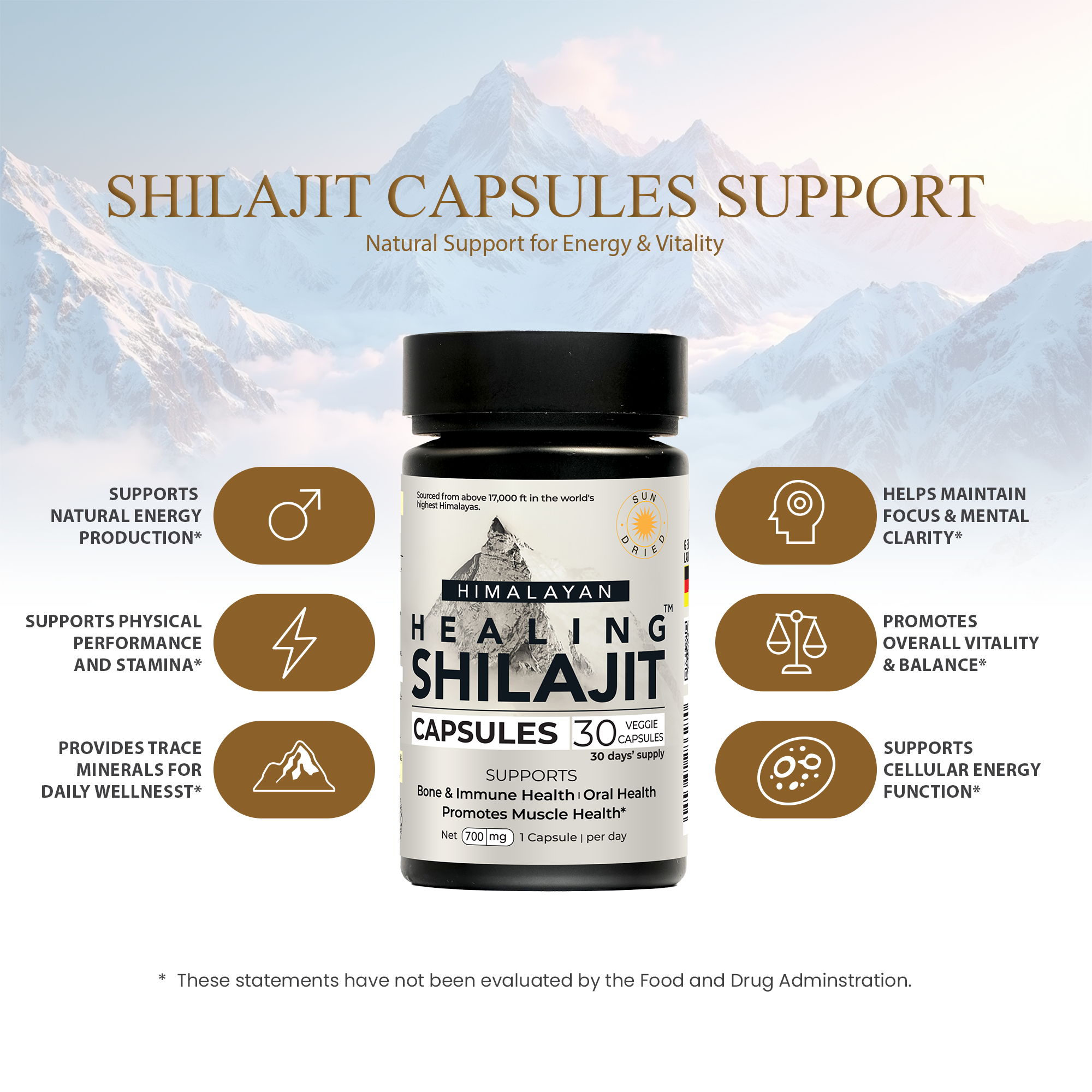 Healing Shilajit™ Freeze-Dried Shilajit Capsules 700mg - Healing Shilajit