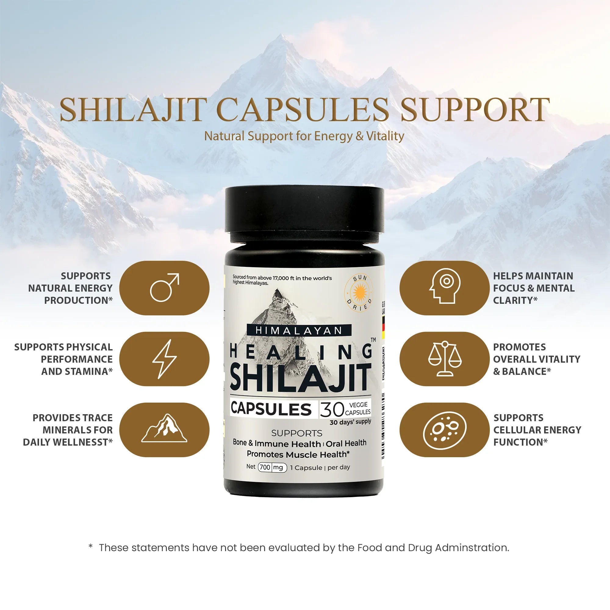 Healing Shilajit™ Freeze-Dried Shilajit Capsules 700mg - Healing Shilajit