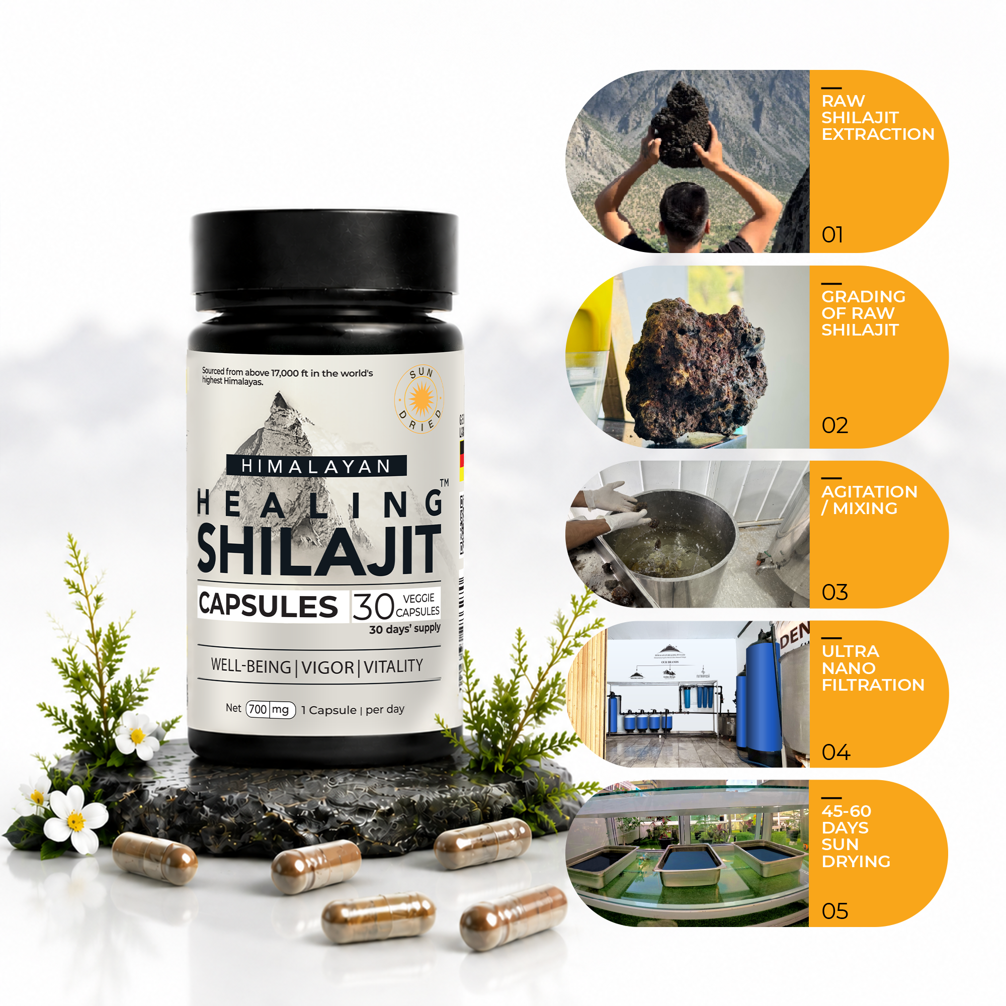Healing Shilajit™ Freeze-Dried Shilajit Capsules 700mg