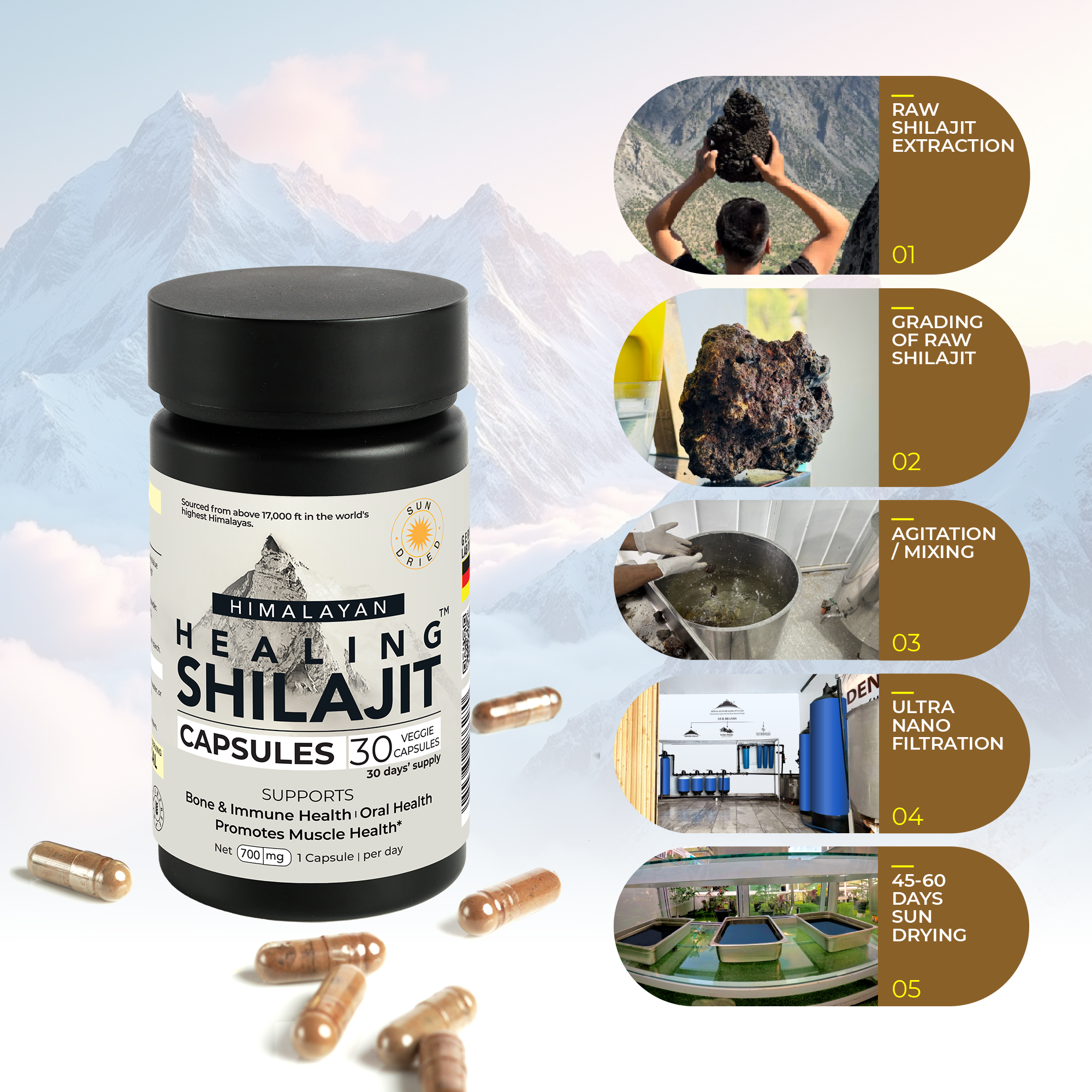 Healing Shilajit™ Freeze-Dried Shilajit Capsules 700mg - Healing Shilajit