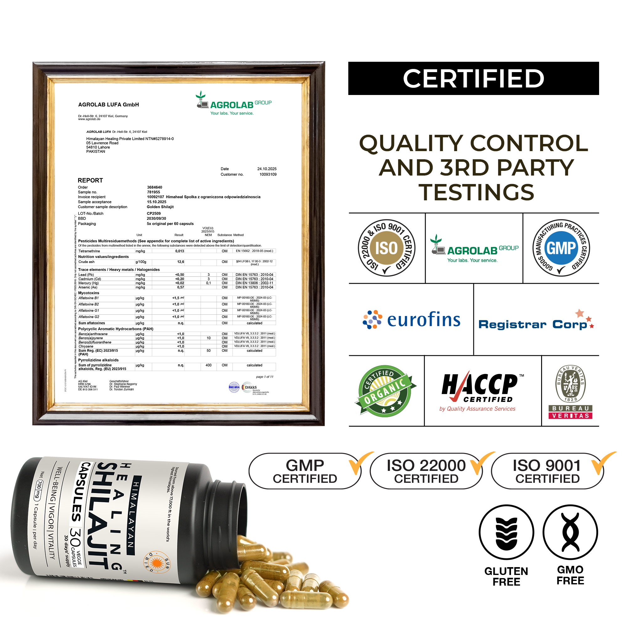 Healing Shilajit™ Freeze-Dried Shilajit Capsules 700mg