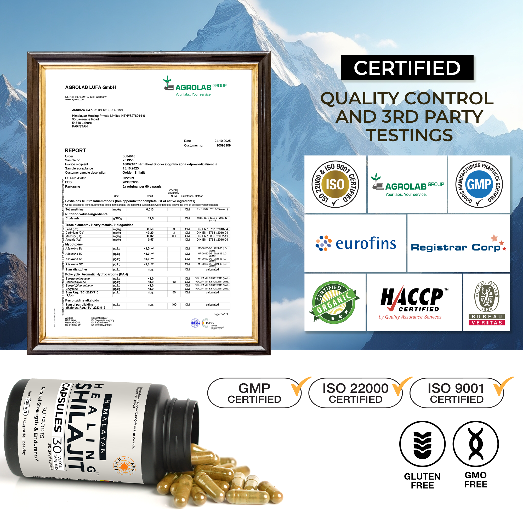 Healing Shilajit™ Freeze-Dried Shilajit Capsules 700mg - Healing Shilajit