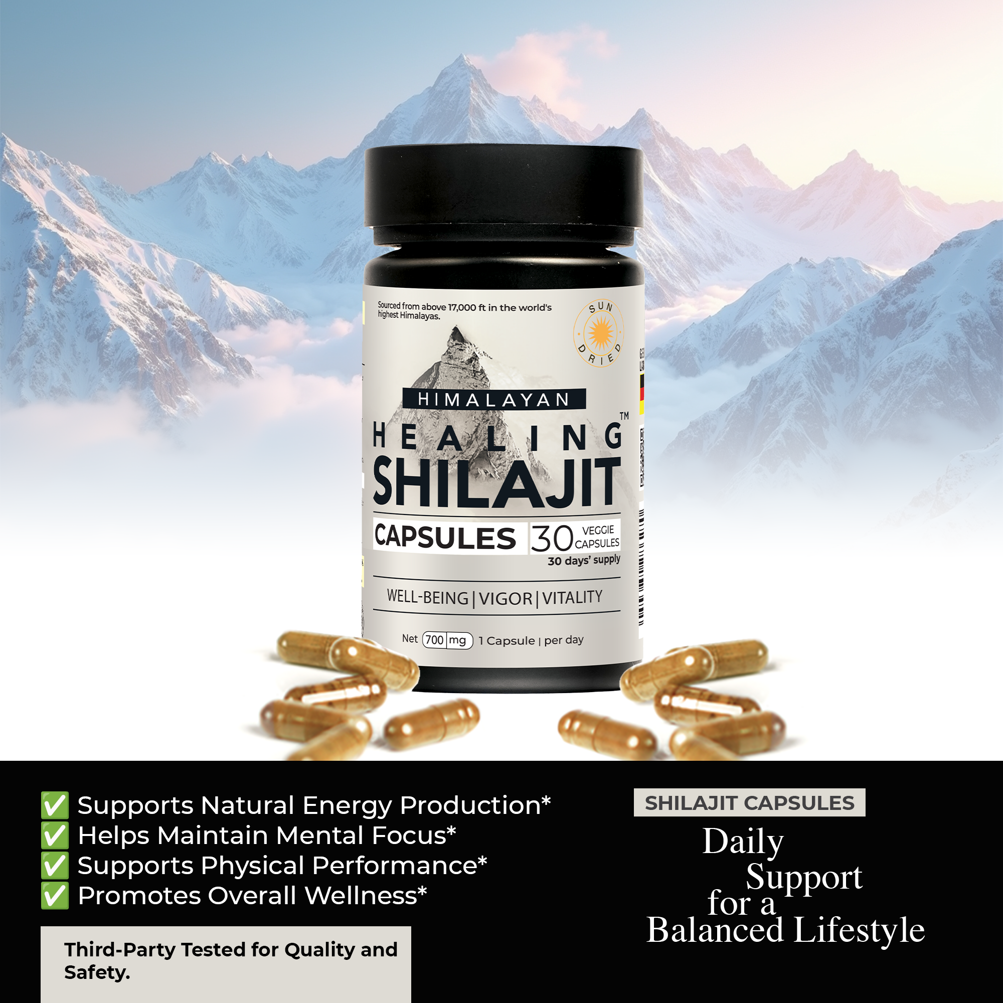 Healing Shilajit™ Freeze-Dried Shilajit Capsules 700mg