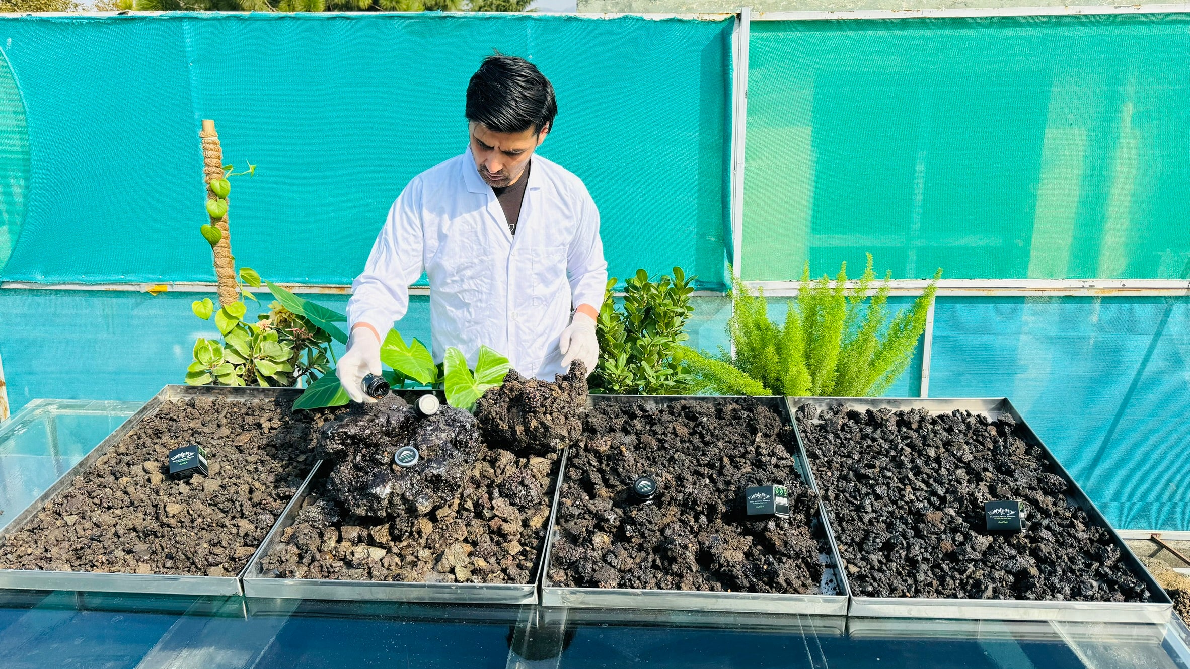 Describes the appearance of the image