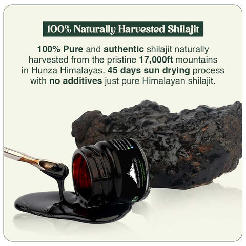 Natural & Pure Shilajit Resin - 100% Pure and Organic Shilajit 60 Days Sun-Dried Organic Premium Resign, Lab Tested For Safety, - Healing Shilajit